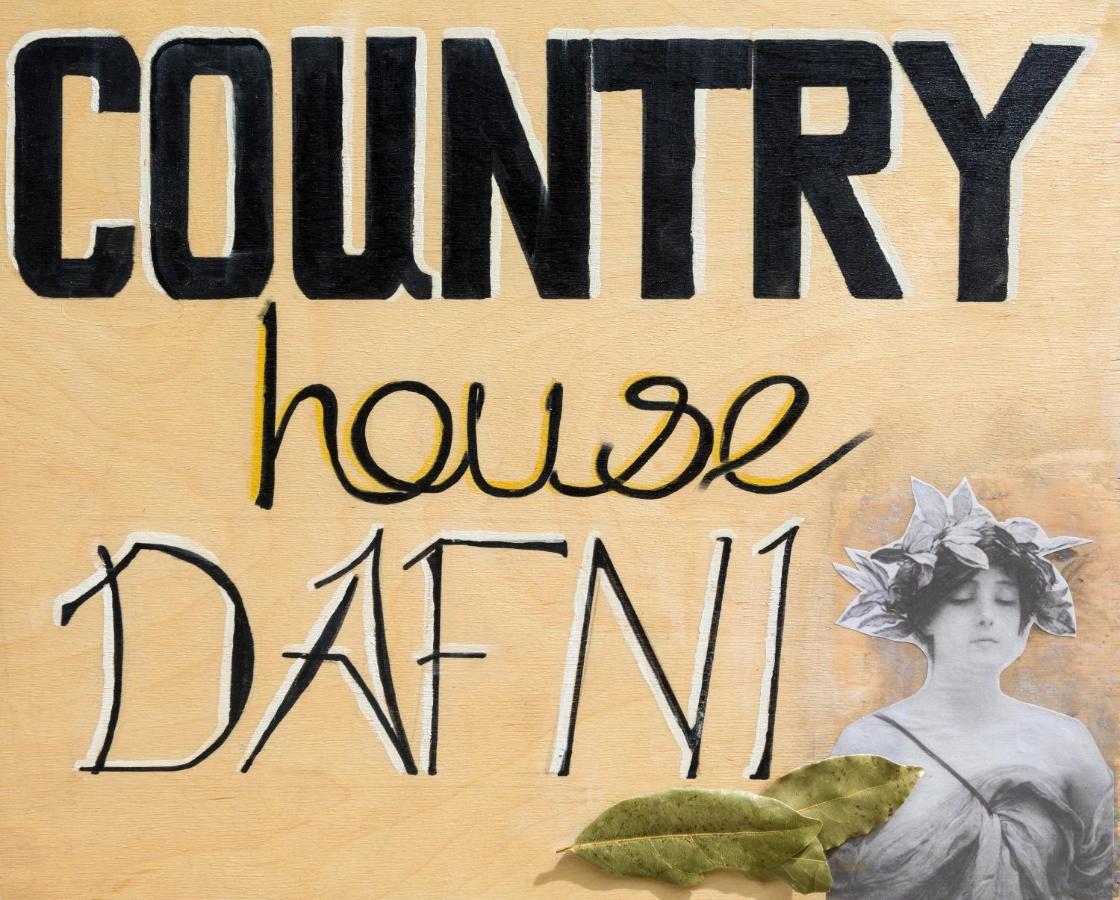 Country House Dafni Vasilikí Екстериор снимка